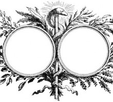 Two Circular Frames Divided by a Snake - Design Image Source