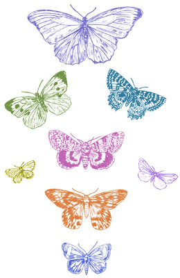 Colored Butterfly Clipart