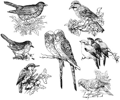 Bird Clip Art Pictures - Design Image Source