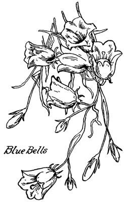 Blue Bells Clip Art Picture - Design Image Source