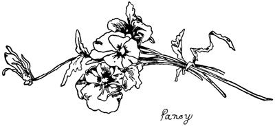 Pansy Flower Clip Art - Design Image Source