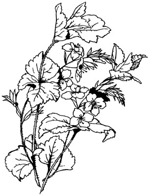 Clipart of Flowers and Leaves