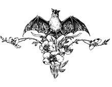 Clipart of a Bat and Flowers