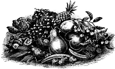 Clipart of Fruits and Vegetables