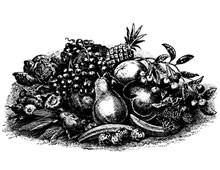 Clipart of Fruits and Vegetables