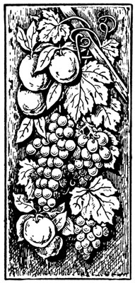 Clipart of Grapes and Leaves