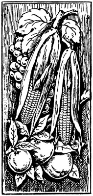 Clipart of Corn